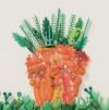 EXPOSITION : CACHE CACHE CAROTTE