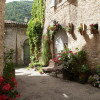TROC DE PLANTES
